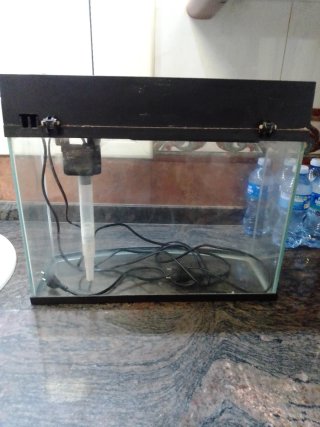 Pecera de cristal para espacios pequeños