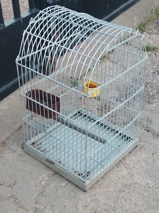 Jaula para pájaros blanca y amarilla