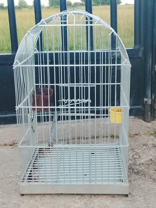 Jaula para pájaros blanca y amarilla