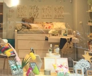 Dormitorio infantil doble exclusivo