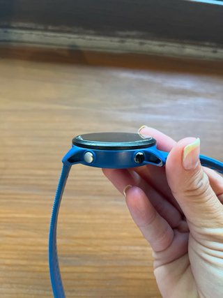 Garmin Forerunner 255 Azul + Cargador