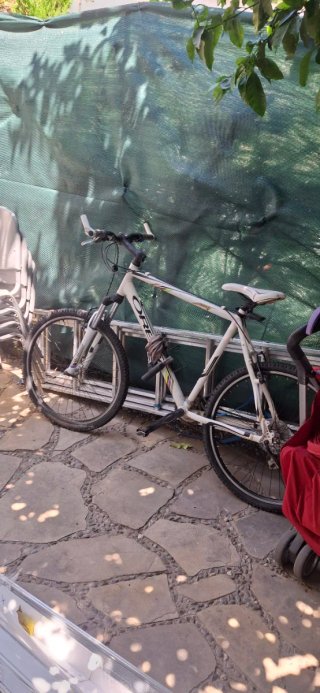 Bicicleta Orbea Blanca