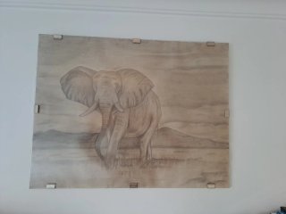 Elefante a Lápiza Mano. Protegido con cristal