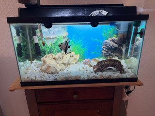 Vendo acuario completo sin peces