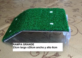 Rampa tortuga grande plataforma soporte tortugas