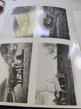 2 libros con postales antiguas de Donostia y Euska