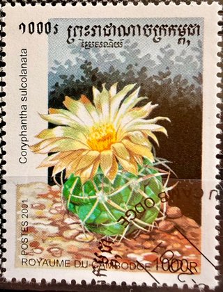 Sellos cactus y flora colección vintage