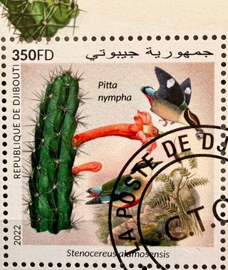Sellos cactus y flora colección vintage