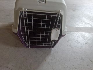 Transportín para mascotas beige y marrón