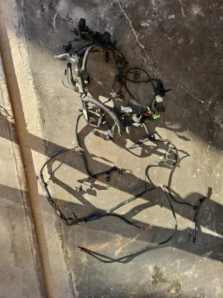 Cableado Motor BMW X3 E83 N47