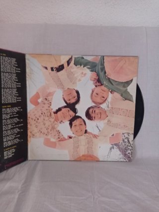 Vinilo Cantemos con La Pandilla
