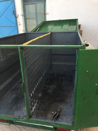 Remolque verde para coche