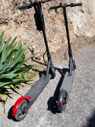 Dos patinetes