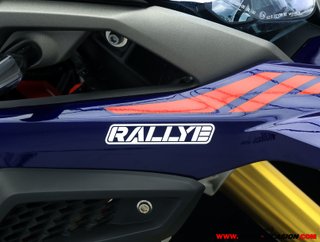 BMW G 310 GS RALLYE -APTA A2-