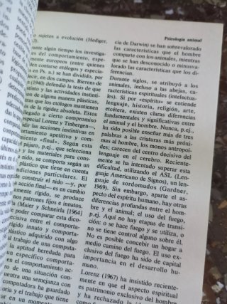 Diccionario de psicología