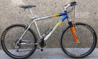 Bicicleta Boomerang
