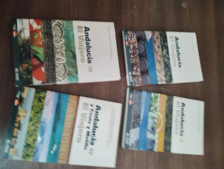Guías viaje.Precio de las 4
