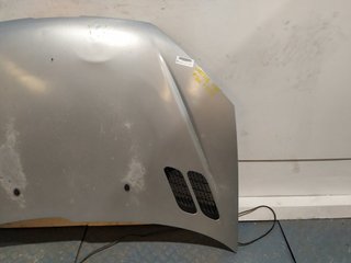 Capó Peugeot 206 Berlina (1998-2010)