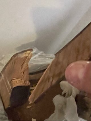 Settimanale antico in legno massello