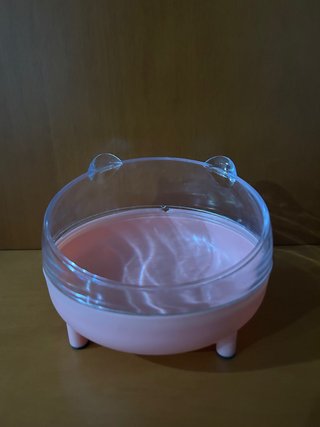 Box sabbia per criceto con design orecchie