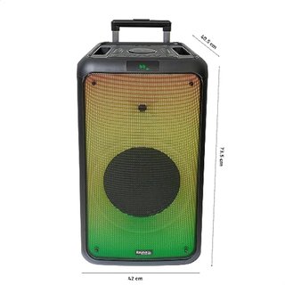 Ibiza - Street-Wave-MAX - REACONDICIONADO marcas minimas, Altavoz portátil de 600W/12 a Pilas con Bluetooth, USB y microSD - Efecto LED Wave y conexión inalámbrica TWS - Negro