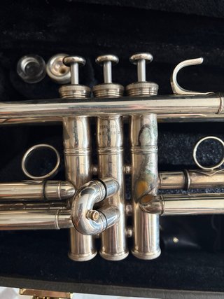 Trompeta Yamaha Xeno 8335RGS