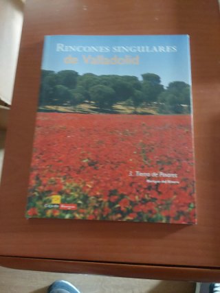 Rincones singulares de Valladolid  5 libros