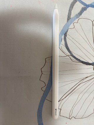 Apple Pencil 2ª Generación En perfecto estado