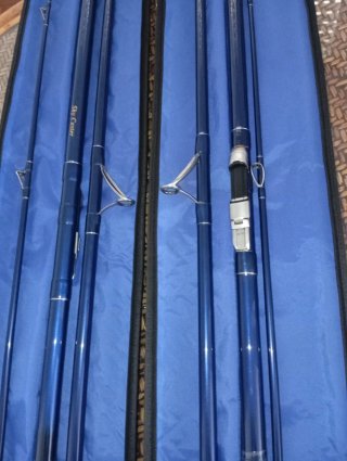 Pareja de cañas Daiwa Sky caster 1 acción 33