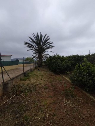 Terreno en venta en Palma de Gandía