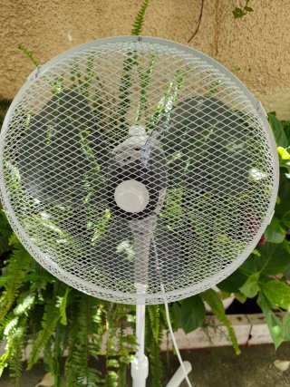 Ventilador de Pie Sonedas Blanco Nuevo