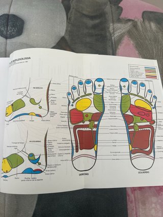 Reflexología La estimulación de las fuerzas sal...