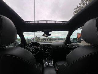 Audi SQ5 2014
