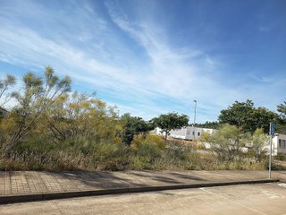 Terreno en venta en Nuevo Cáceres en Cáceres