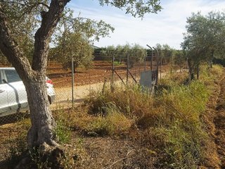 Terreno en venta en Pilas