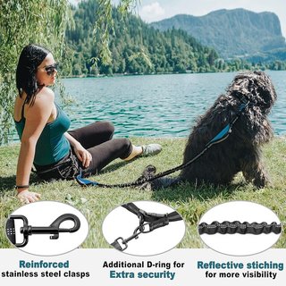 Guinzaglio per cani CHUNKY-PAW (rosso, verde, rosa, blu) Nuovo