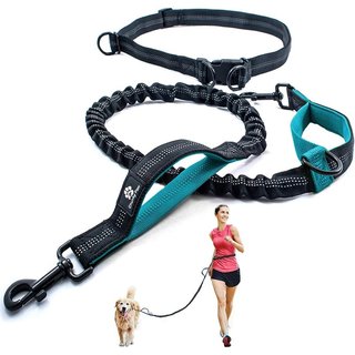 Guinzaglio per cani CHUNKY-PAW (rosso, verde, rosa, blu) Nuovo