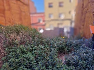 Solar en venta en Artigas - Llefià en Badalona