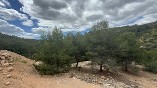 Terreno en venta en Centro en Chiva