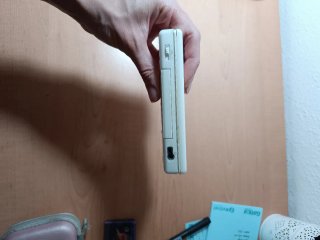 Nintendo DS Rosa y Blanca + Accesorios