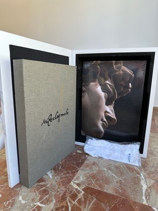 Libro de arte MICHELANGELO