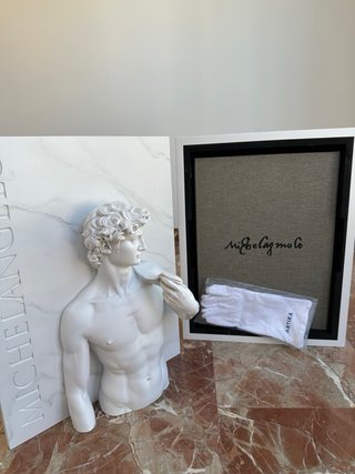 Libro de arte MICHELANGELO