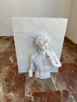 Libro de arte MICHELANGELO