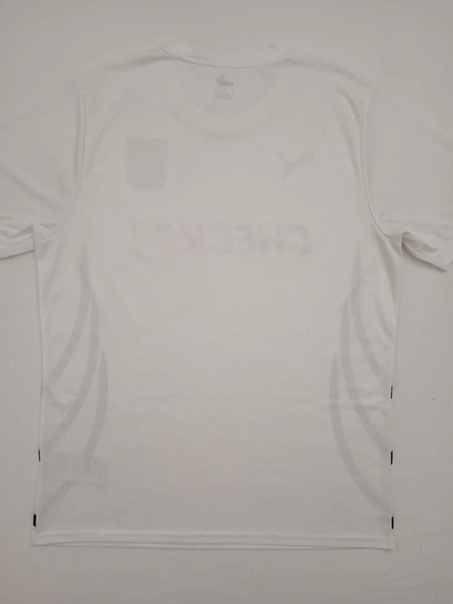 Camiseta Puma Alemania FC 2023/2024 Original