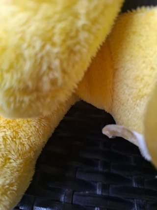 Peluche Ape Maya