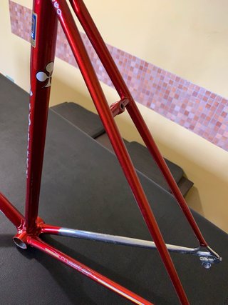 Telaio Colnago Master - Telaio e Forcella