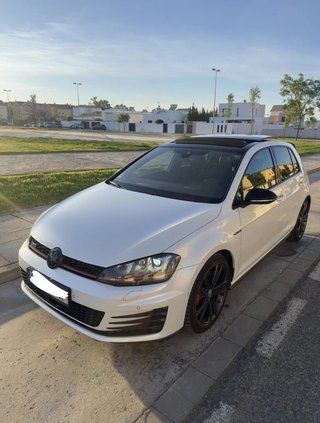 Volkswagen Golf Volkswagen Golf GTI Performance 2.0 TSI 230CV DSG BMT