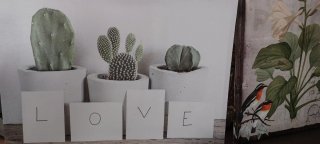 Cuadros decorativos cactus y pájaros