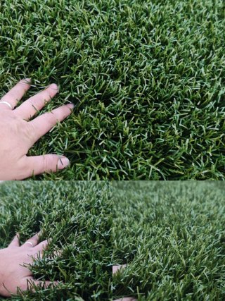 Césped Artificial Verde