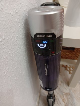 Aspirador Rowenta X-Force 9.60